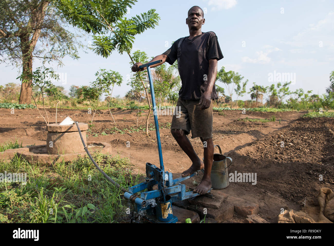 ZAMBIA, Chipata, small scale farmer irrigates vegetable farm with pedal