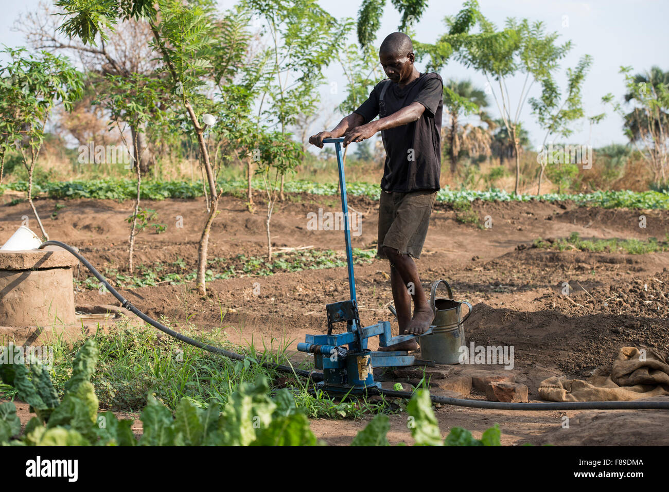 ZAMBIA, Chipata, small scale farmer irrigates vegetable farm with Stock