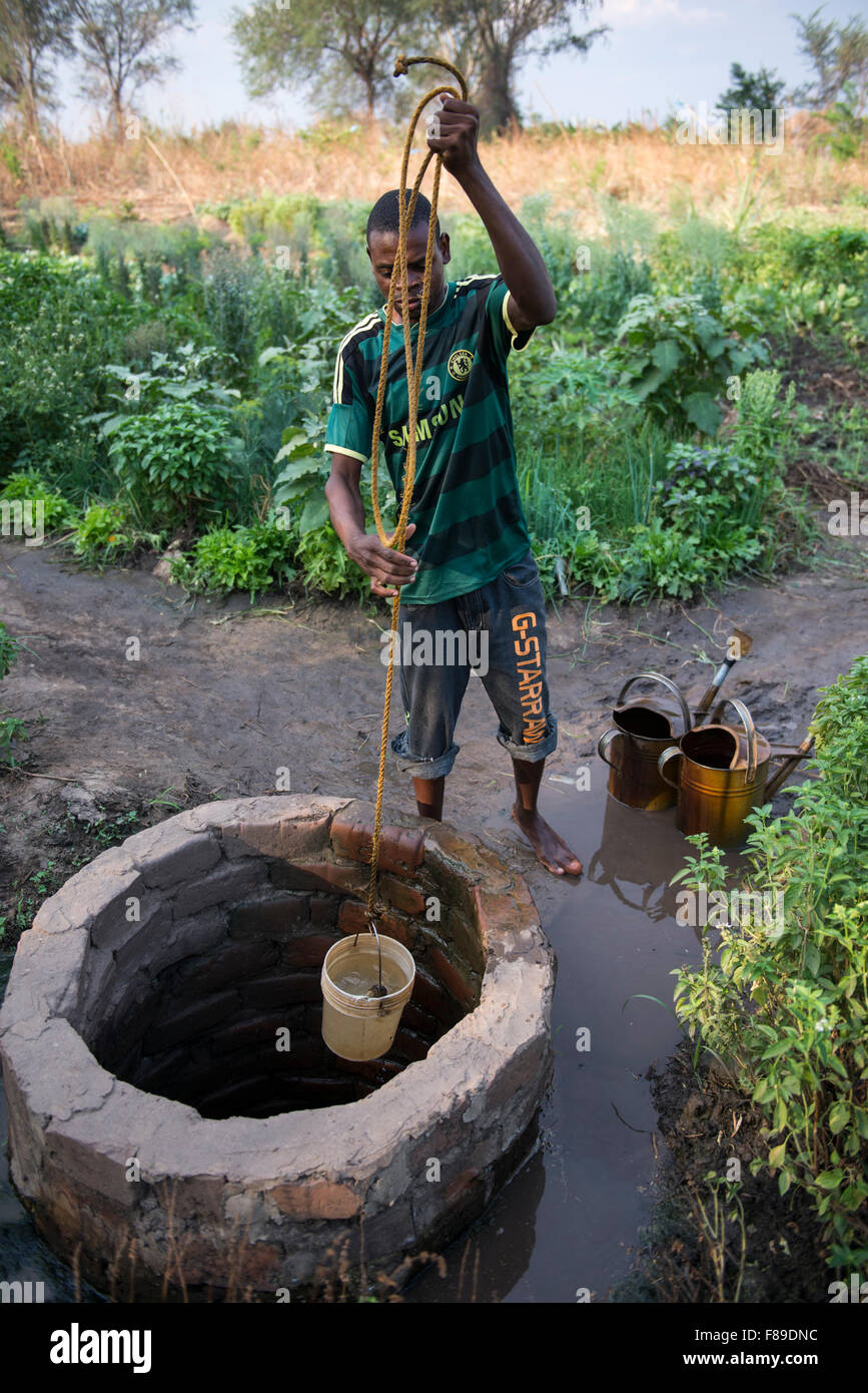 ZAMBIA, Chipata, small-scale farmer irrigates vegetable farm with water from well in village Lupande Stock Photo
