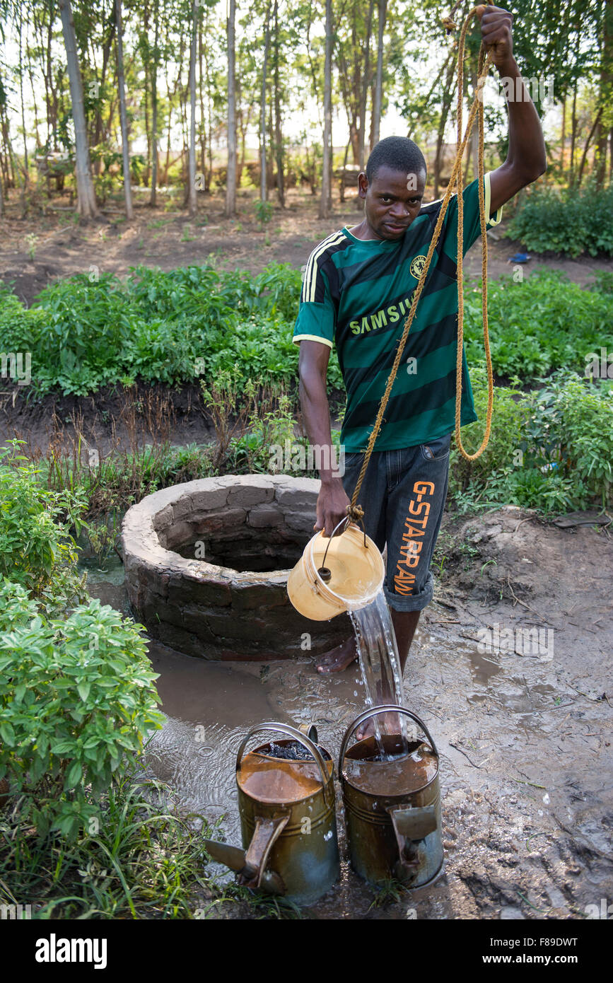 ZAMBIA, Chipata, smallscale farmer irrigates vegetable farm with water