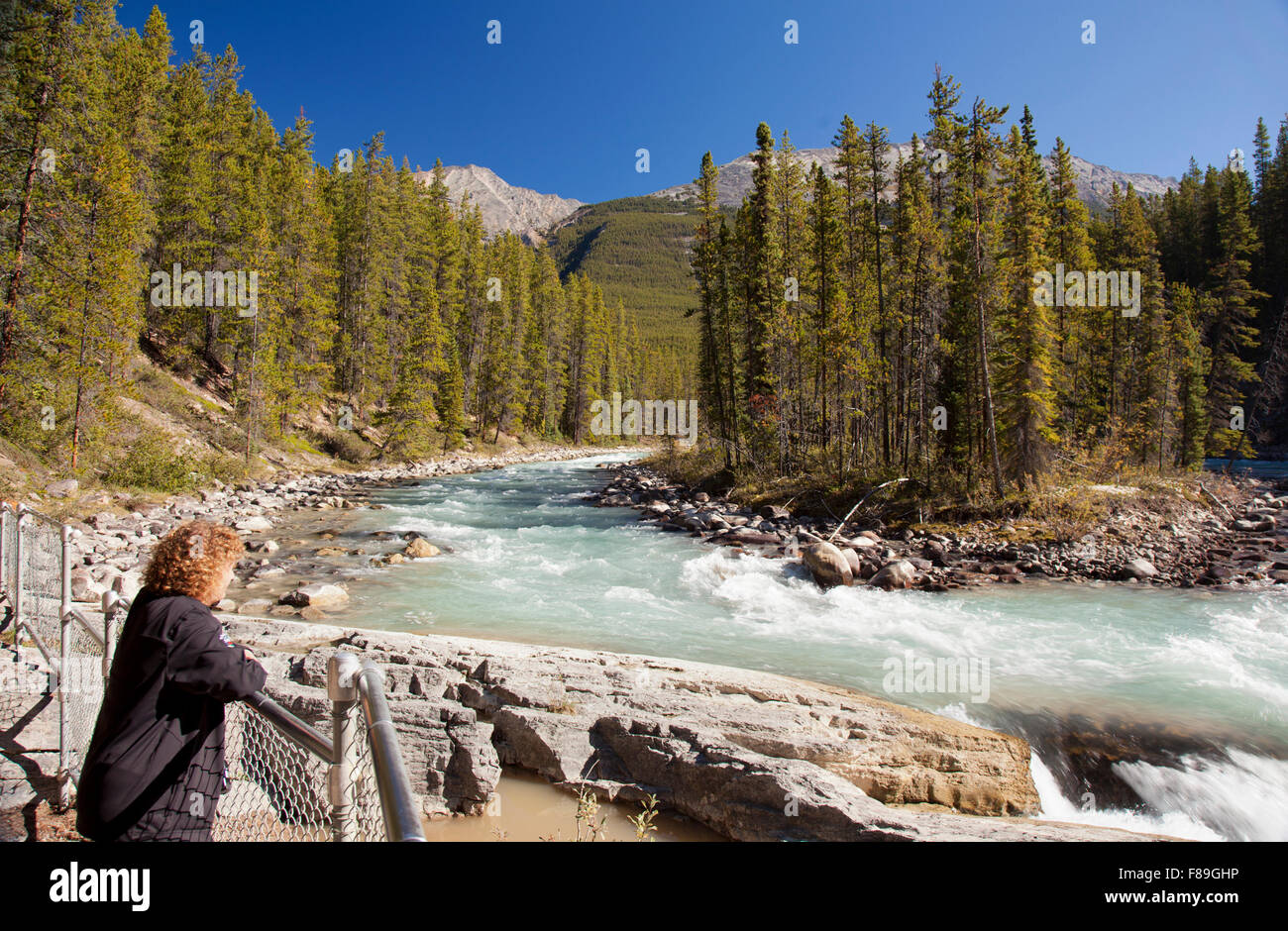 Il Monte Fryatt e il fiume Athabasca, il Parco Nazionale di Jasper, Sito Patrimonio dell'Umanità