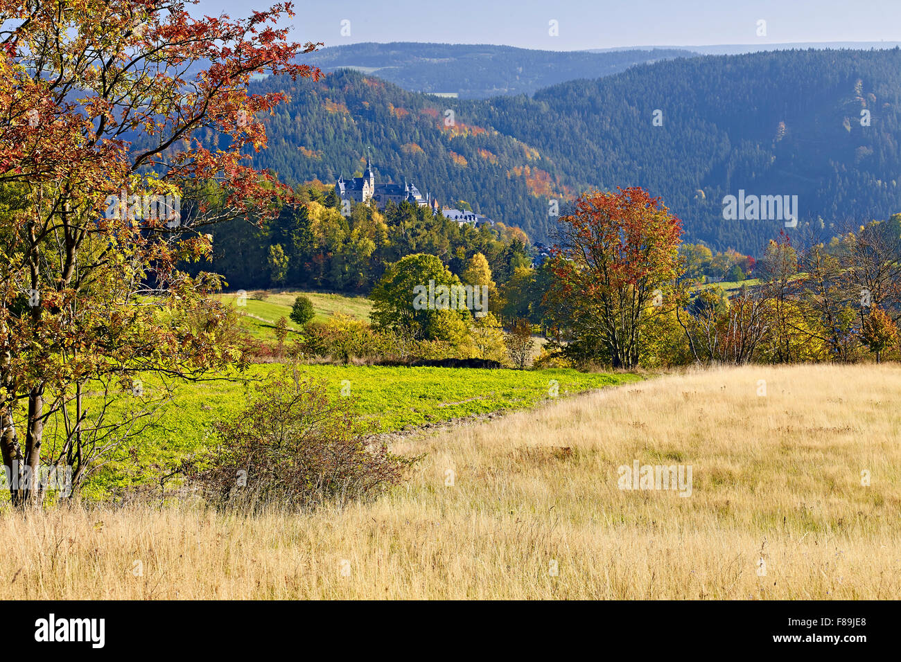 Lauenstein Castle, Ludwigsstadt, Bavaria, Germany Stock Photo - Alamy