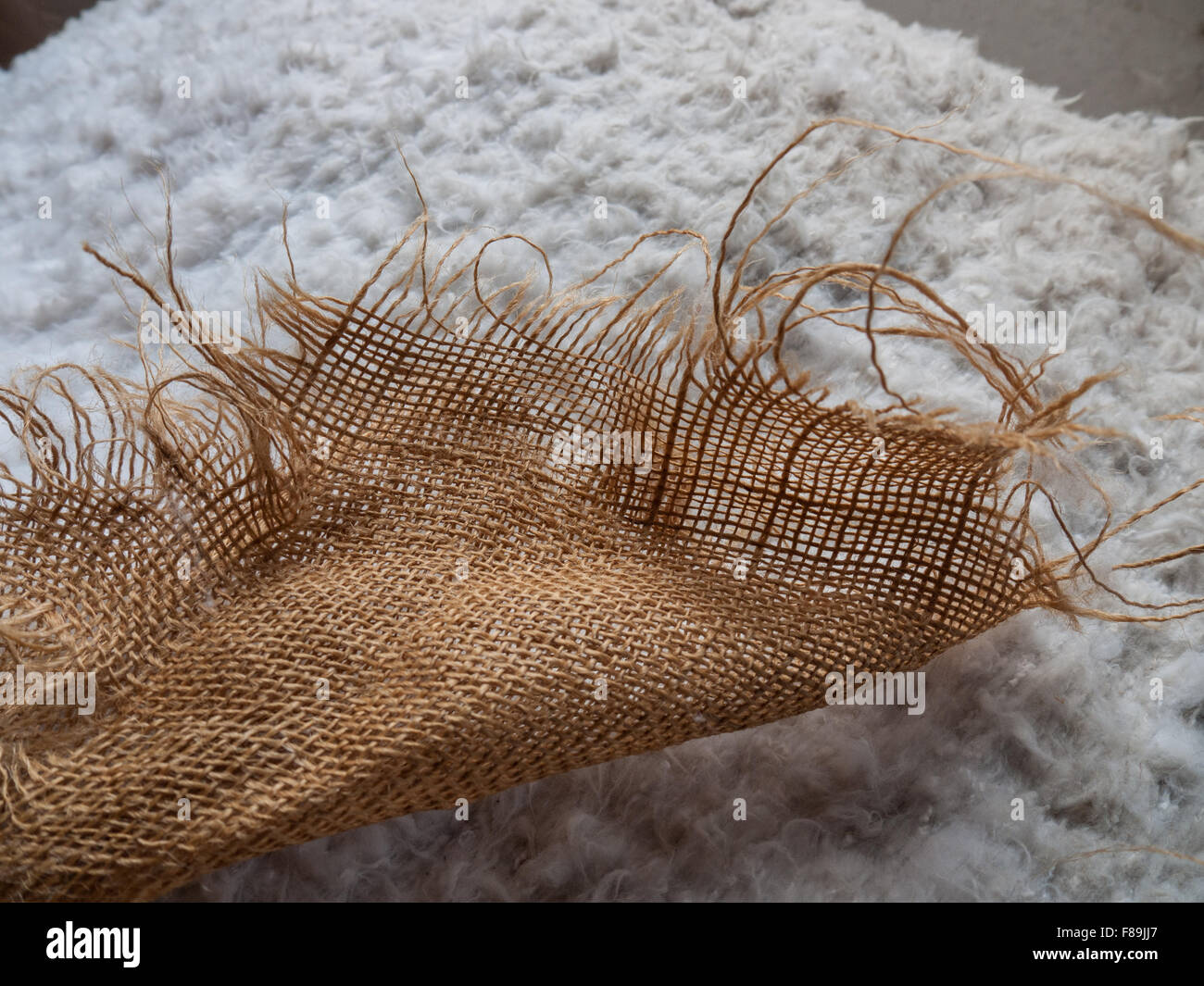 Raw Cotton High Resolution Stock Photography and Images Alamy