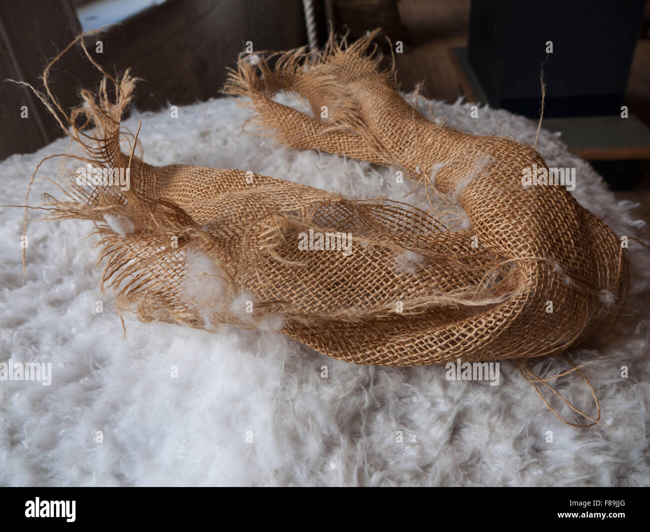 Carding Cotton Stock Photos & Carding Cotton Stock Images Alamy