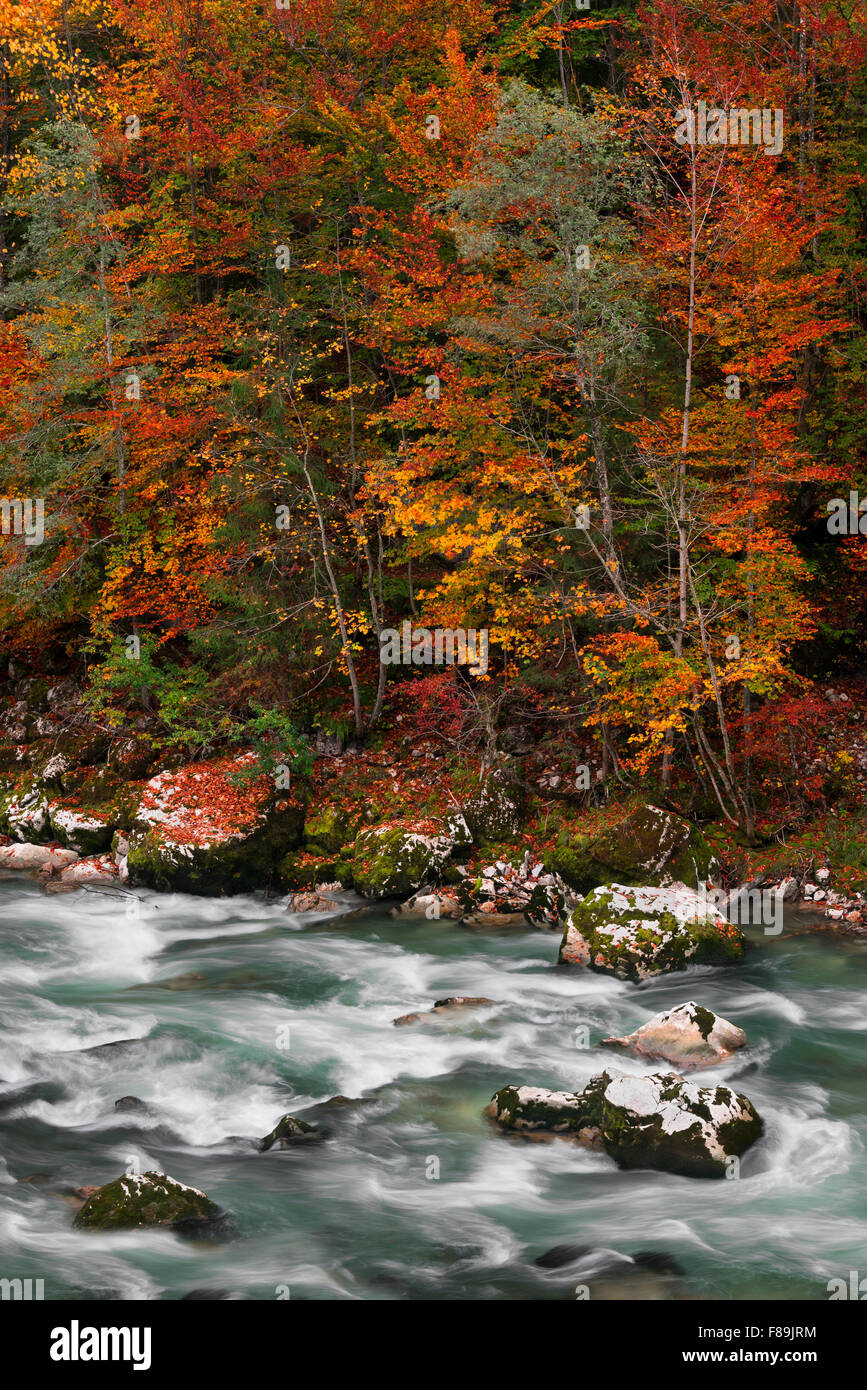 River Saalach, Lofer, Austria, Europe Stock Photo