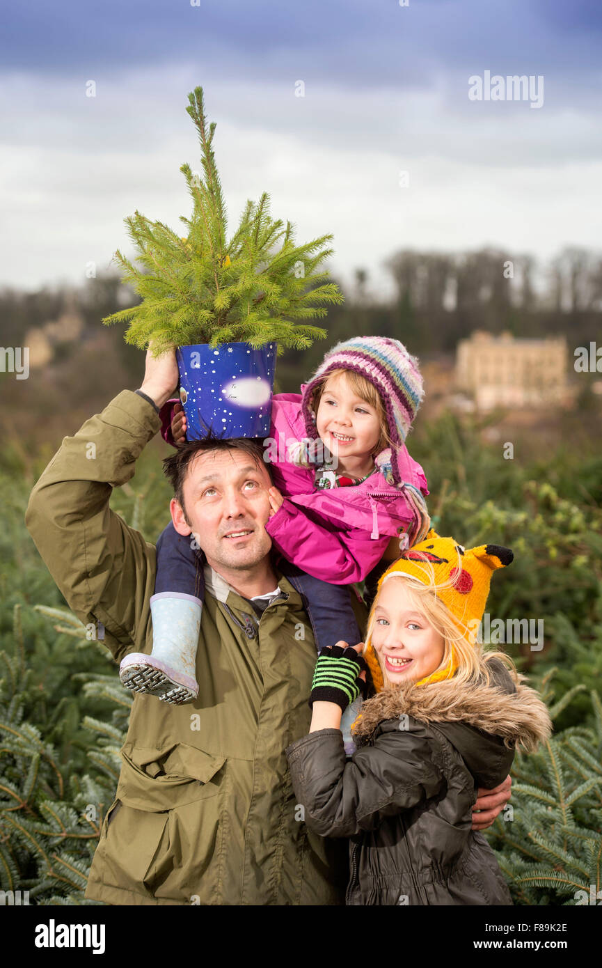 Christmas Xmas tree trees family buying collecting Stock Photo