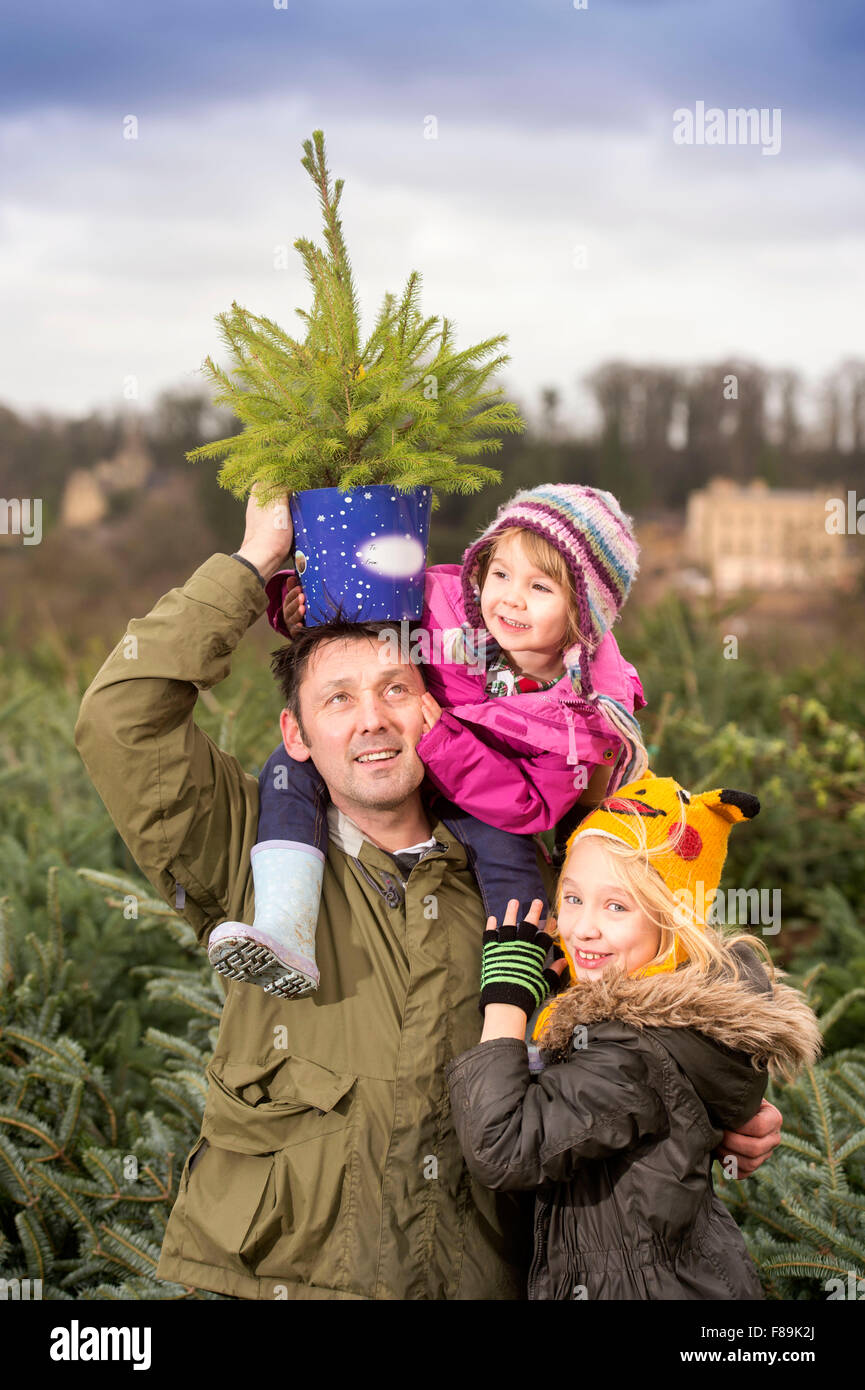 Christmas Xmas tree trees family buying collecting Stock Photo
