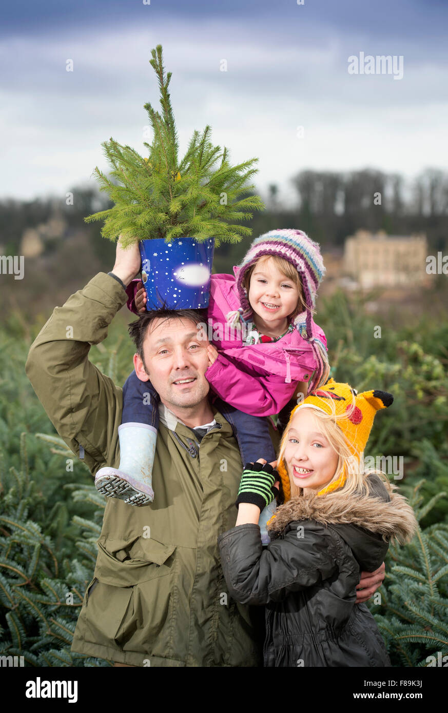 Christmas Xmas tree trees family buying collecting Stock Photo