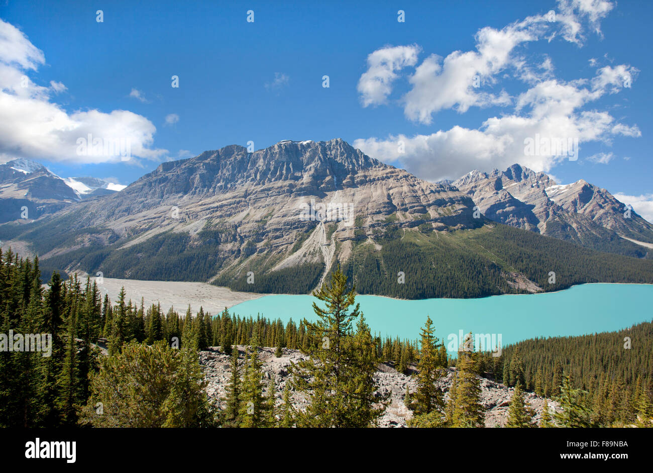 peyto lake banff national park alberta canada Stock Photo - Alamy