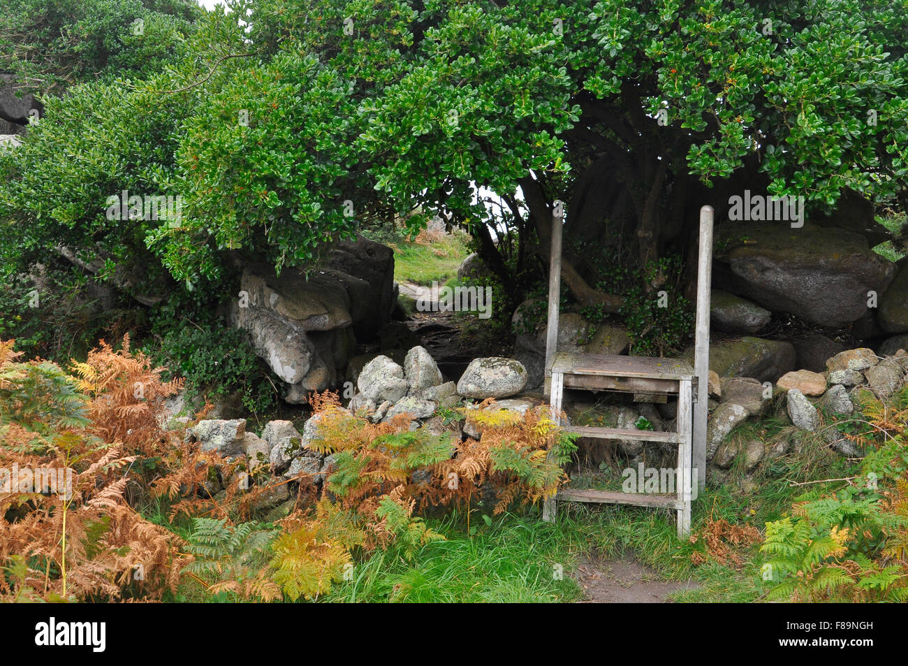 Wooden Stile over granite wall in path on coastal walk around St Agnes isles of Scilly Cornwall UK Stock Photo