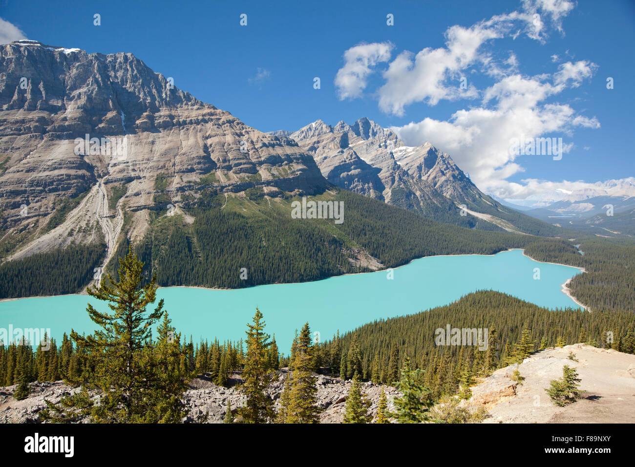 peyto lake banff national park alberta canada Stock Photo - Alamy