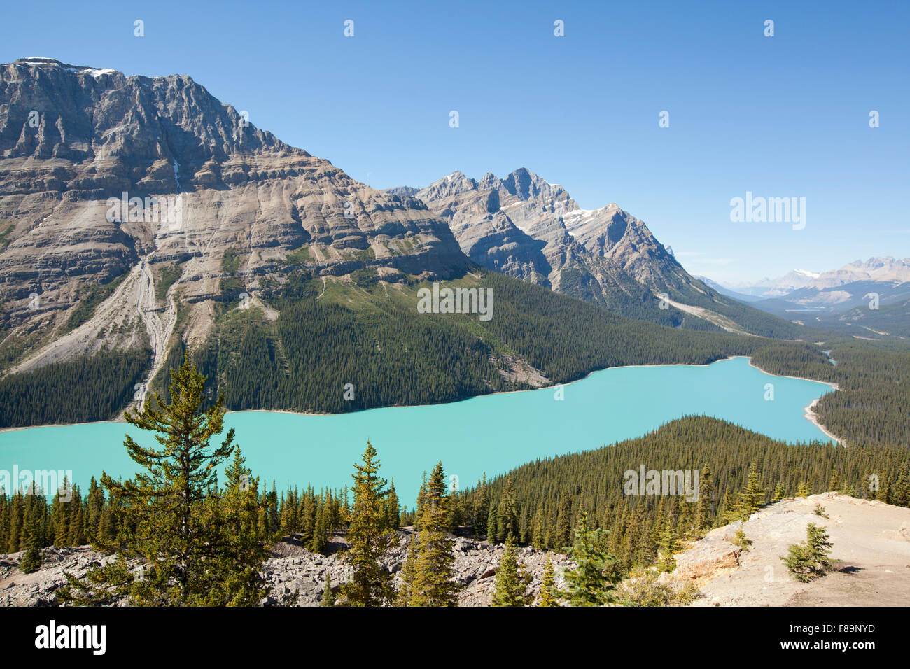 peyto lake banff national park alberta canada Stock Photo - Alamy