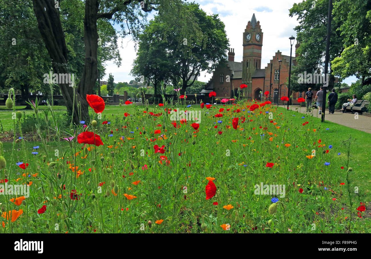 Walsall Arboretum in summer, West Midlands, England,UK Stock Photo