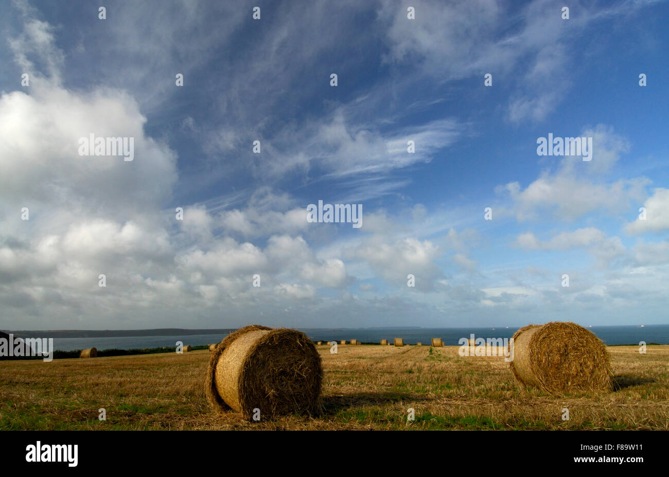Hay rounds in a field in Pembrokeshire National Park with sea views and ...