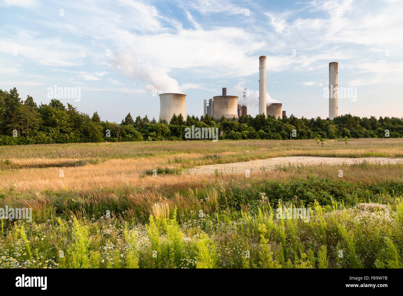 A large coal-fired power station behind some trees and a green field. Stock Photo