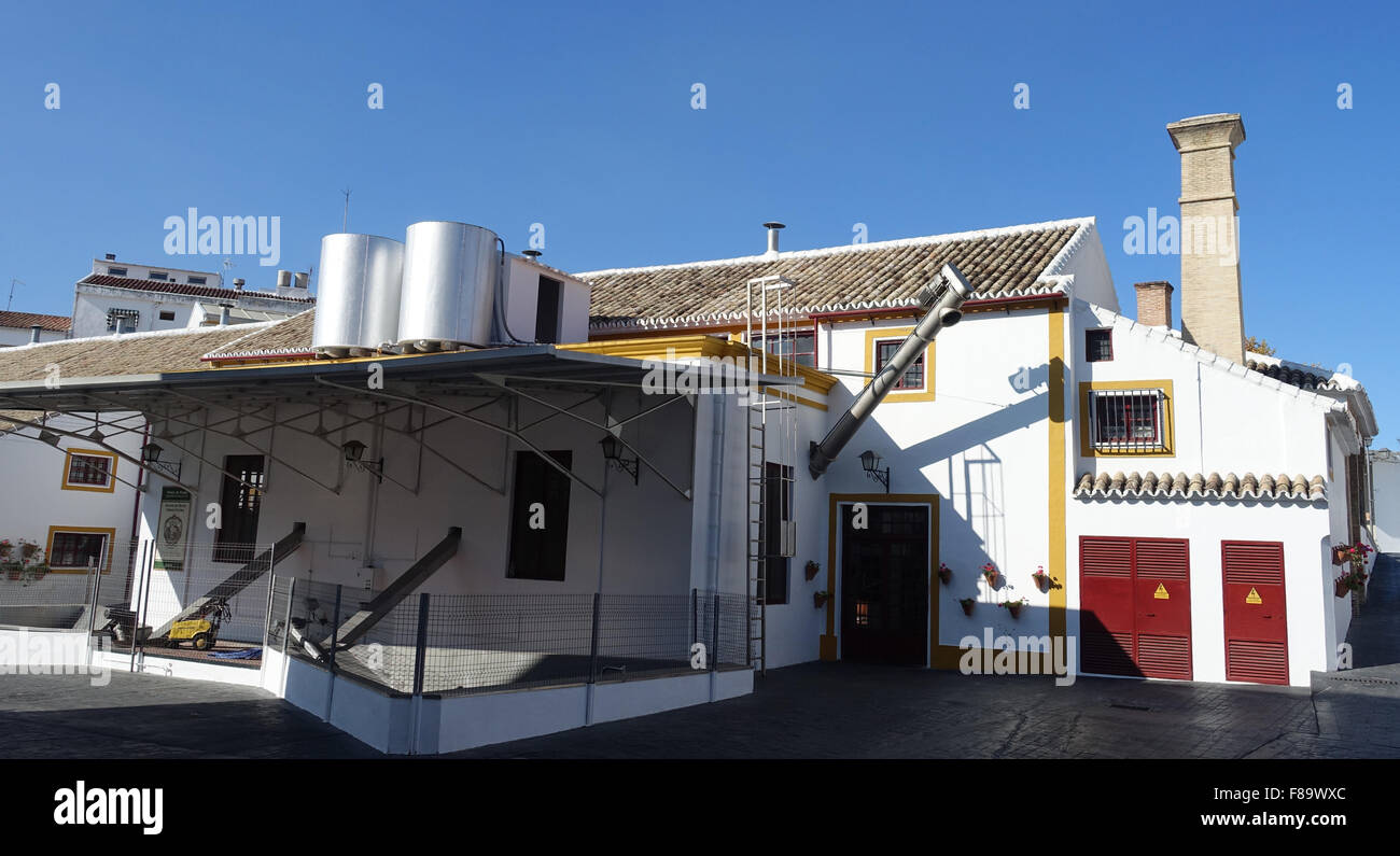 Olive oil factory hires stock photography and images Alamy