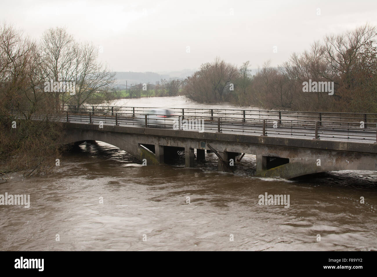 Stirling floods after Storm Desmond 2015 - car on the A84 road crossing the flooded river Forth, Scotland, UK Stock Photo