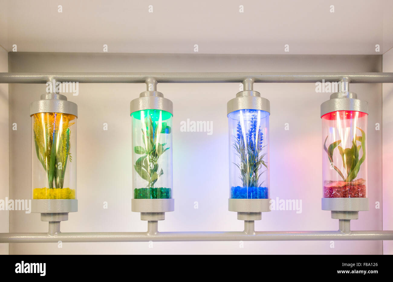 Plants grown in test tubes in laboratory Stock Photo Alamy