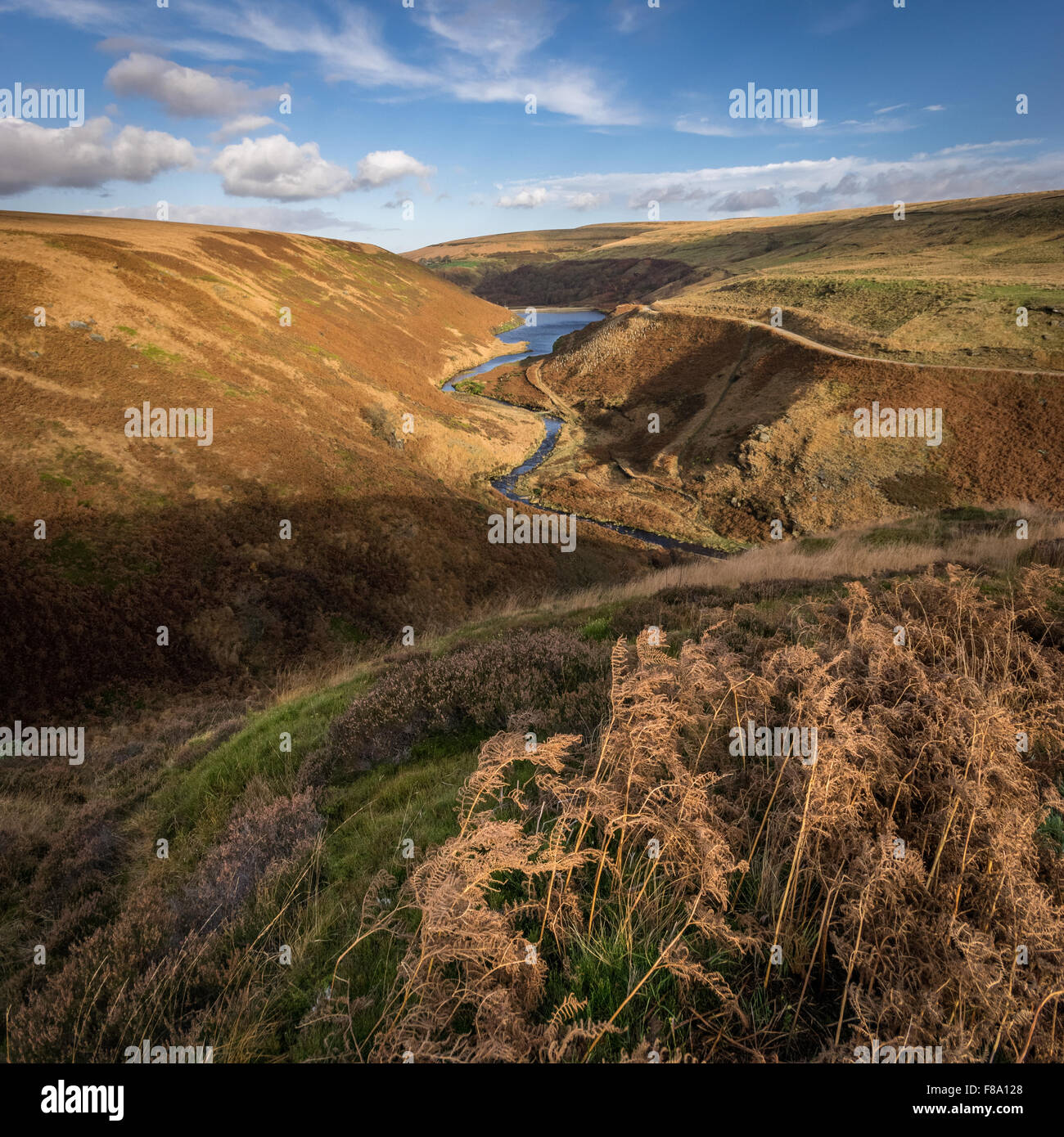 Blakeley Reservoir High Resolution Stock Photography and Images - Alamy