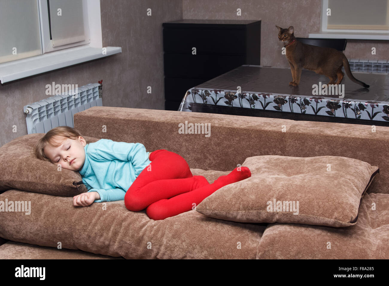 cat watches little girl sleeps like a top on a couch Stock Photo Alamy