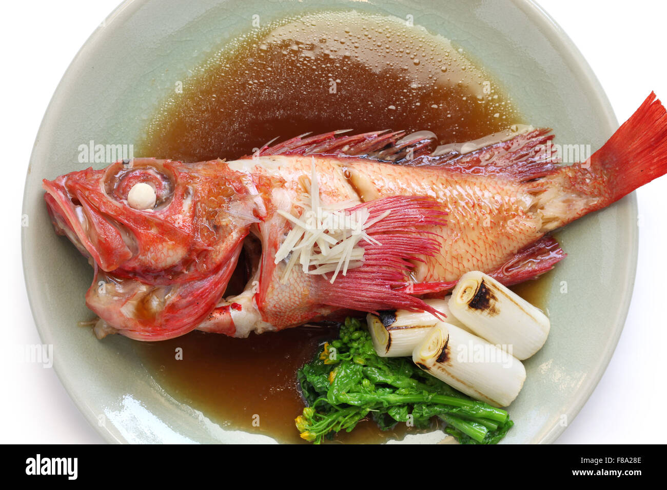 Kichiji Fish Hi Res Stock Photography And Images Alamy Kichiji Fish Hi Res Stock Photography And Images Alamy