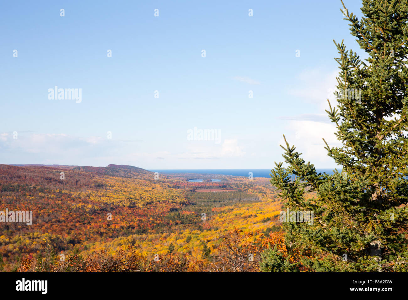 Nature background with trees in autumn colors and a clear blue sky ...