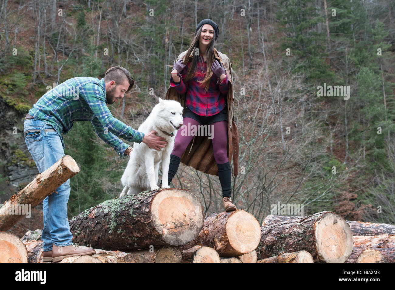 Young woman and men on wood logs in the forest. White dog Stock Photo ...