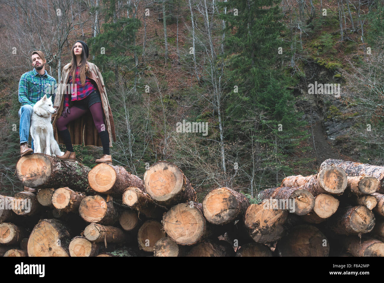 Young woman and men on wood logs in the forest. White dog Stock Photo ...