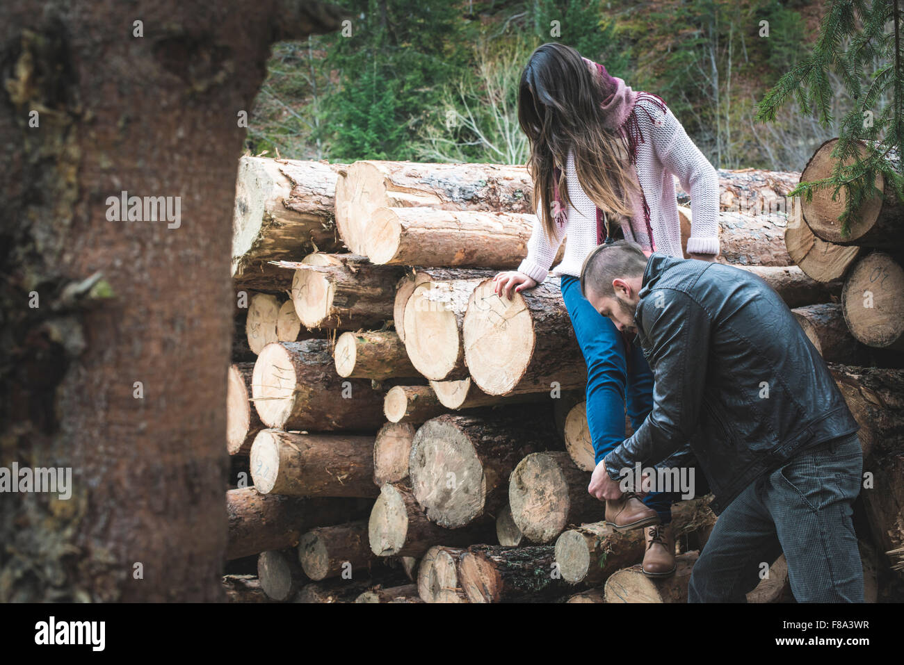 Young woman and men on wood logs in the forest Stock Photo - Alamy