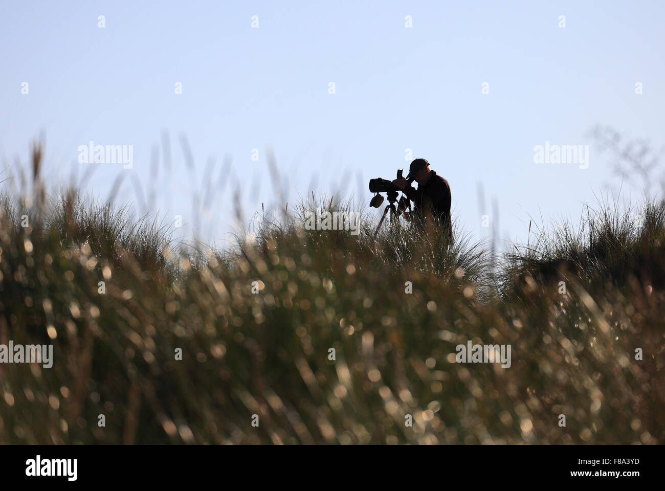 A man birdwatching at Holme Dunes Nature Reserve on the Norfolk coast. Stock Photo