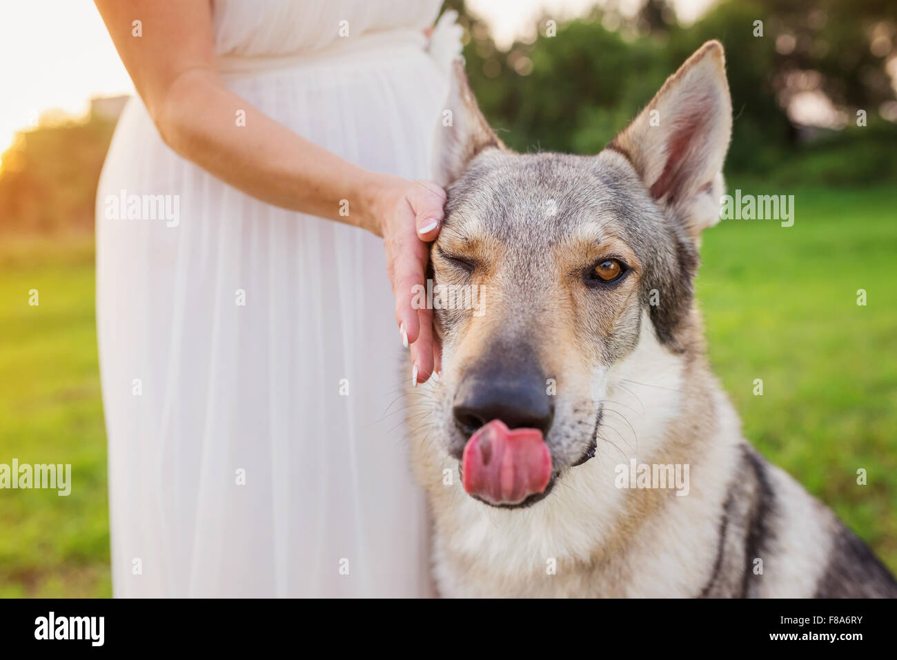 Woman with dog Stock Photo
