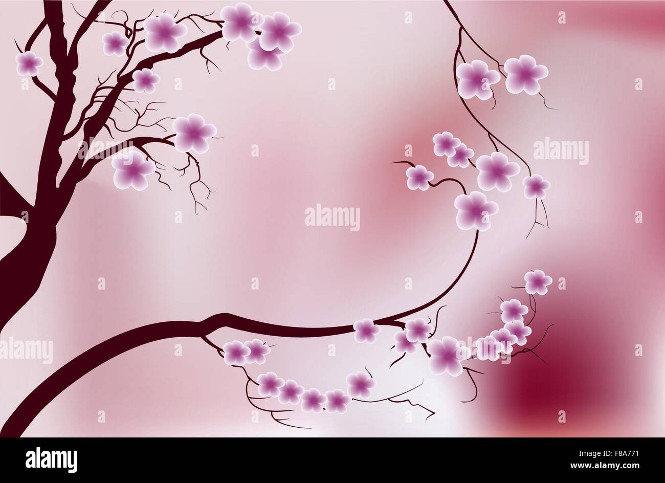Pink cherry blossom sakura flowers in Japanese style Stock Vector Image
