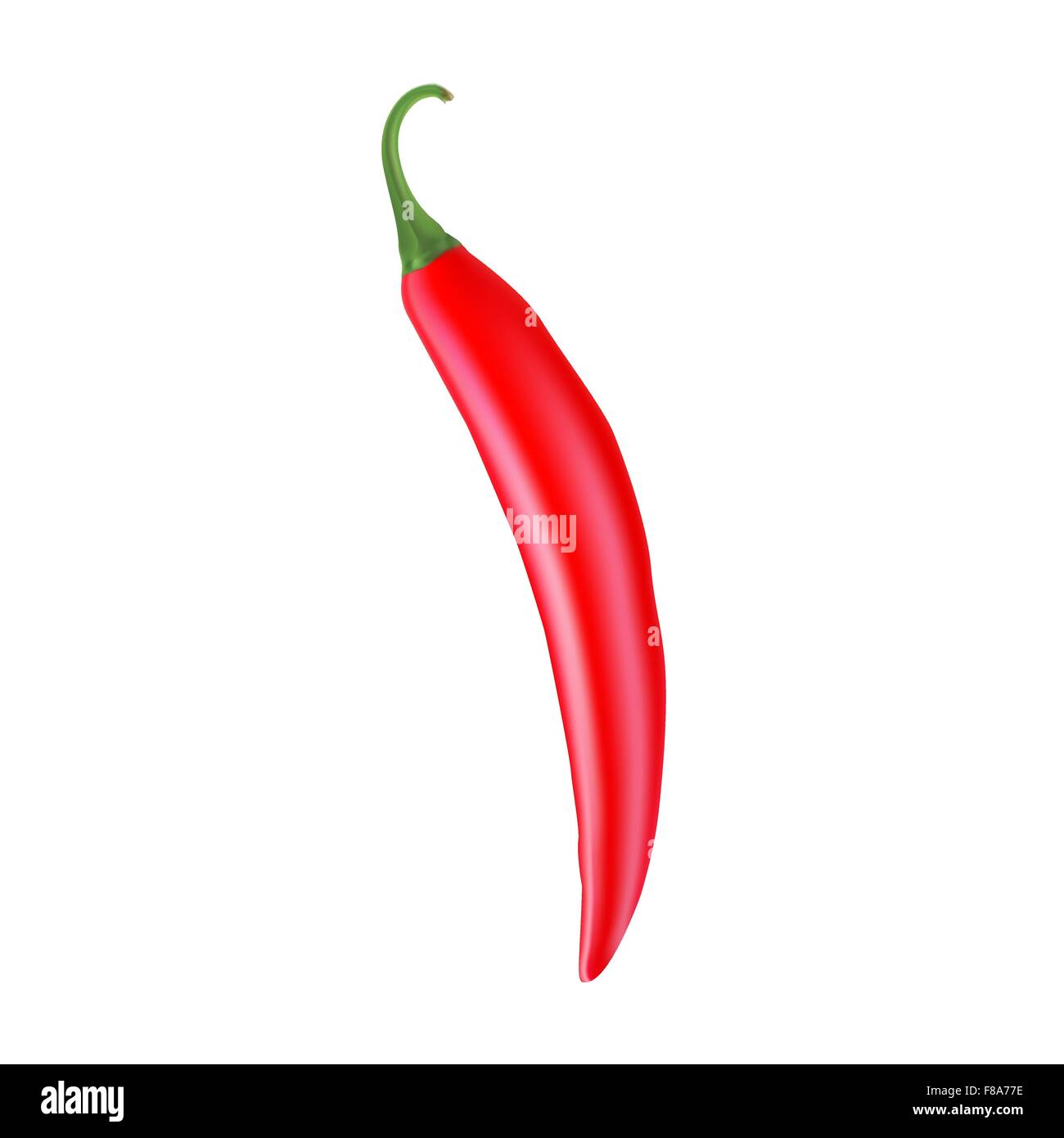 Realistic picture of the Cayenne red pepper Stock Vector