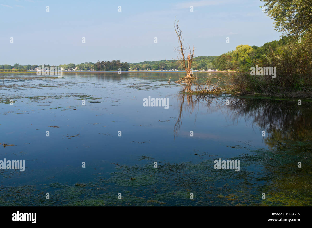 whitewater lake and wooded shores from natureland park outside whitewater wisconsin Stock Photo