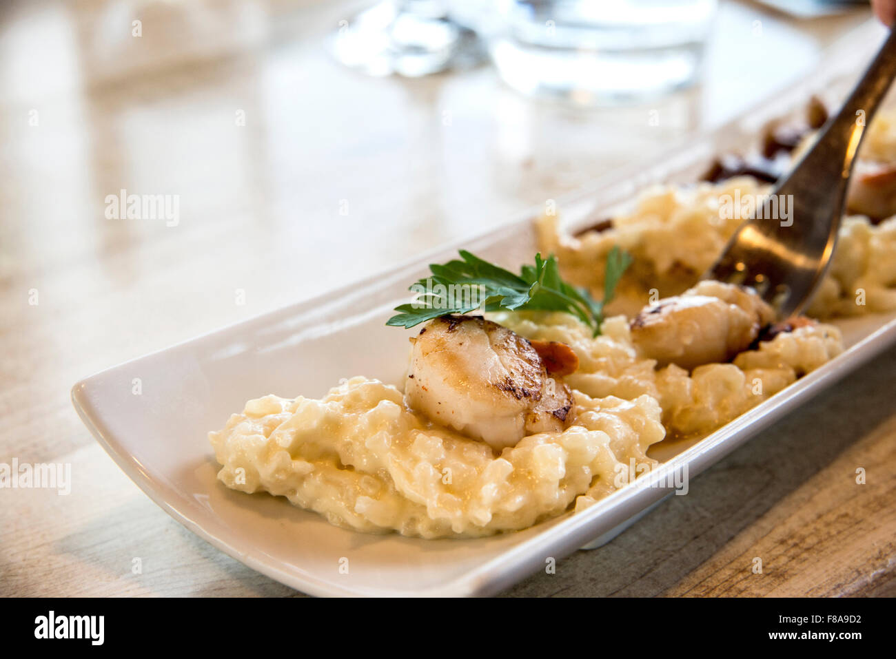 Scallop Rice Risoto Rice Scallops and risotto dish Stock Photo - Alamy