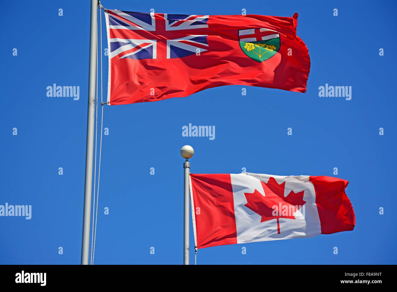 Ontario and Canada flags Stock Photo