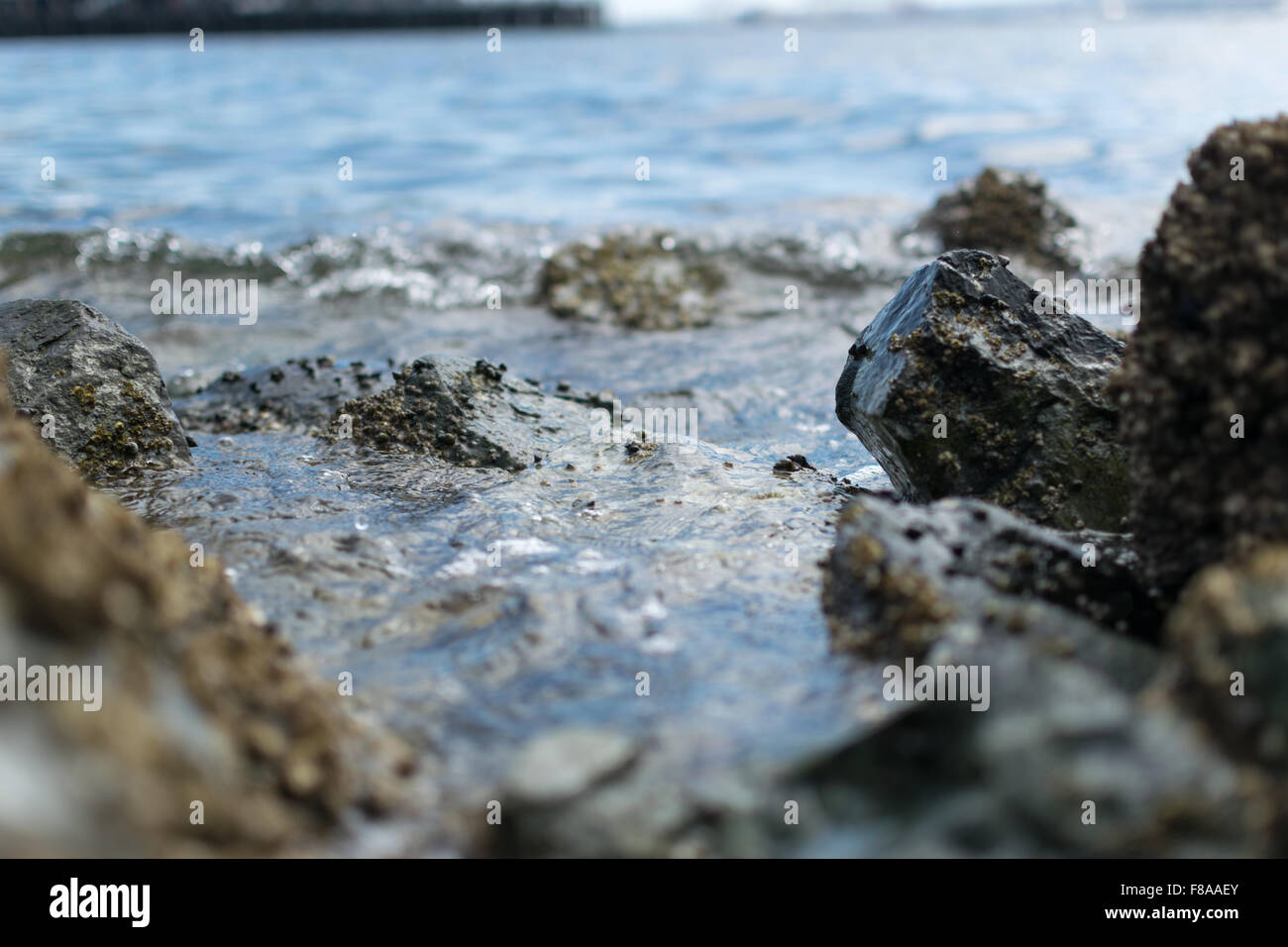 A shot in shallow focus of the interaction between the incoming tides and the rocky shore. Stock Photo