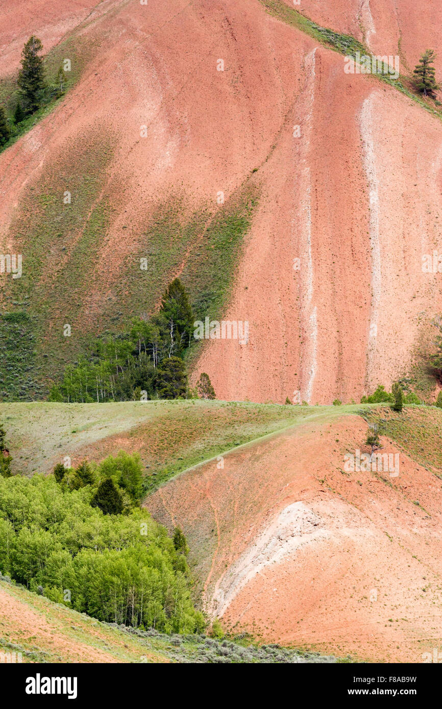 Abstract sandstone patterns in the Red Hills of the Gros Ventres, Bridger-Teton National Forest, Wyoming Stock Photo