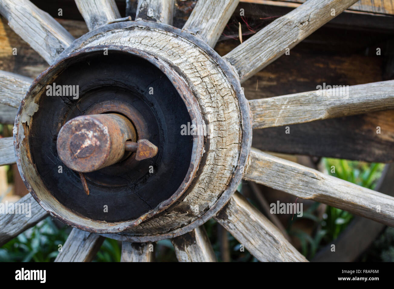 old wooden wheel , wood wheel detail Stock Photo