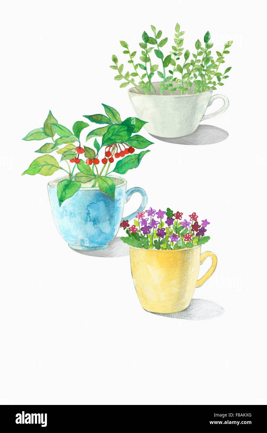 Watercolor potted plants Cut Out Stock Images & Pictures - Alamy