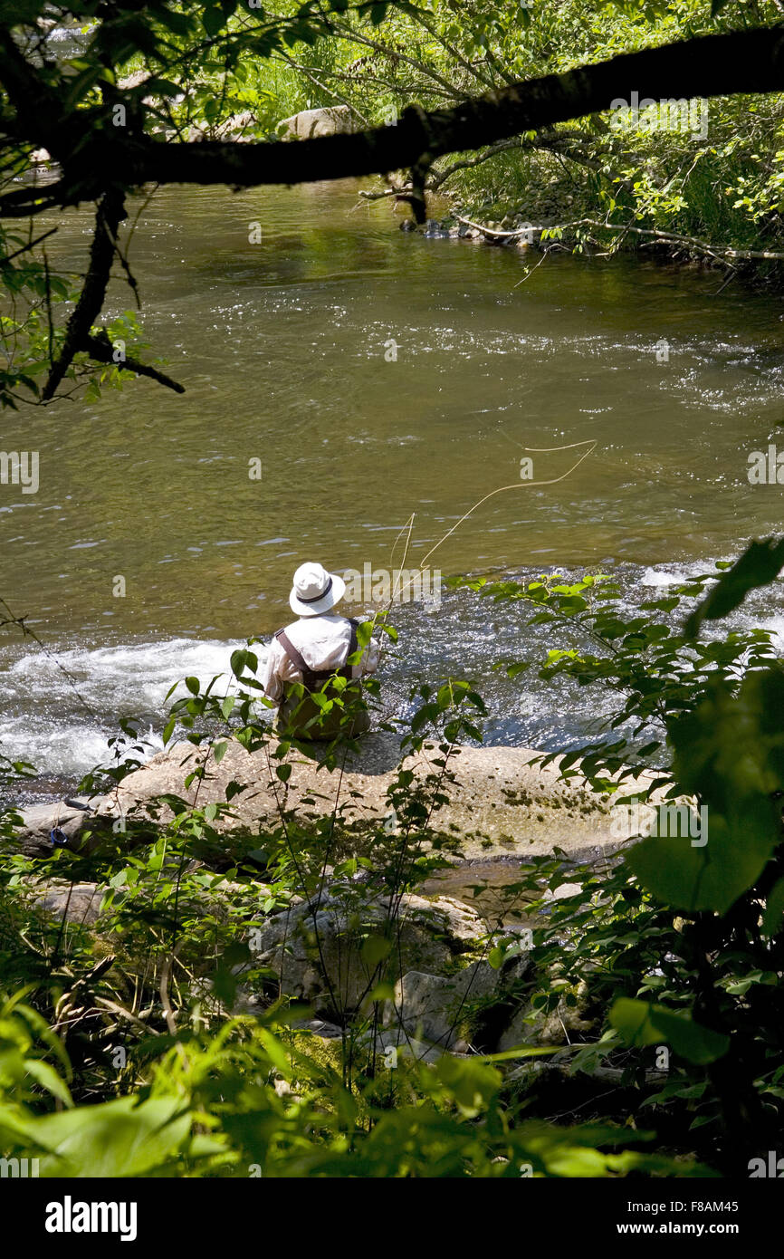Fly fishing trout on nantahala hires stock photography and images Alamy