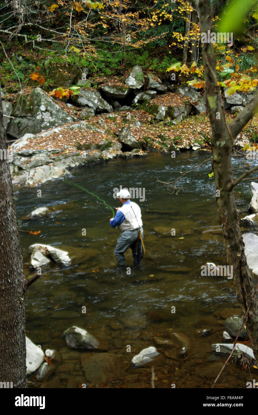 Fly fishing trout on nantahala hires stock photography and images Alamy