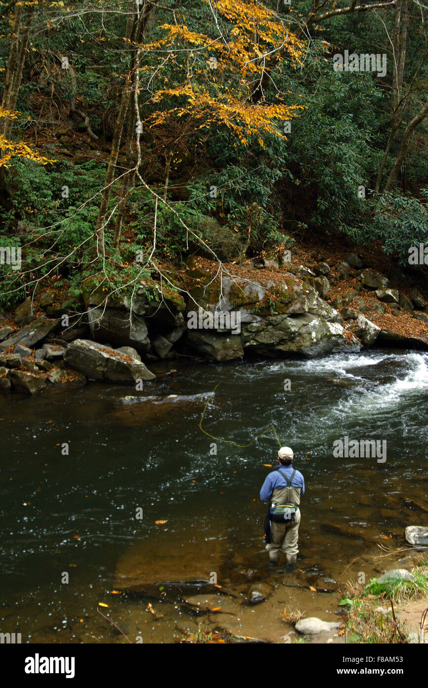 Fly fishing trout on nantahala hires stock photography and images Alamy