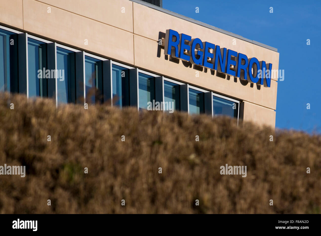 A logo sign outside of the headquarters of Regeneron Pharmaceuticals, Inc., in Tarrytown, New York on November 21, 2015. Stock Photo