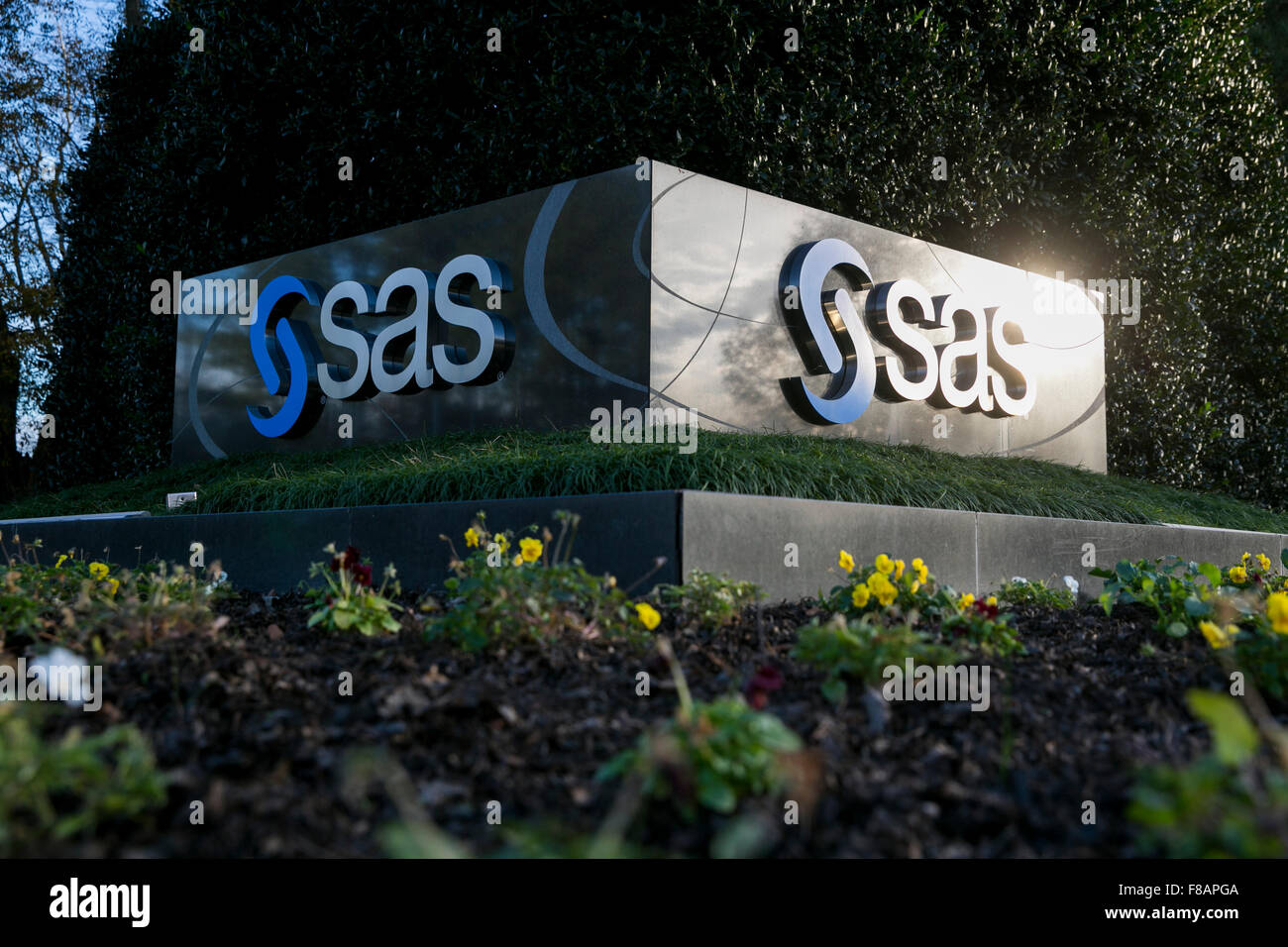sas company sas company
