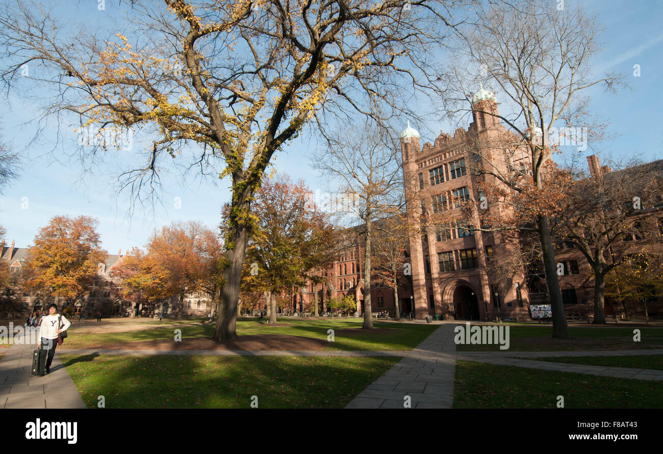 Yale University campus, New Haven, Connecticut, USA, in autumn Stock