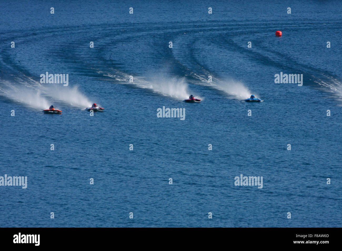 Chelan Hydroplane Races 2024 Aleta Aurilia