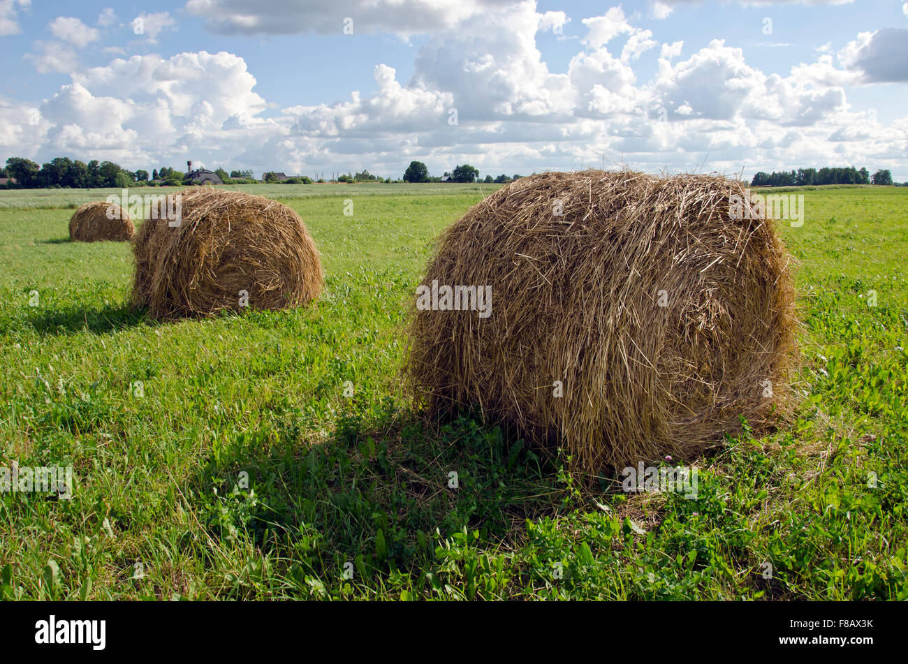 Rural summer landscape with haystacks and farm Stock Photo - Alamy