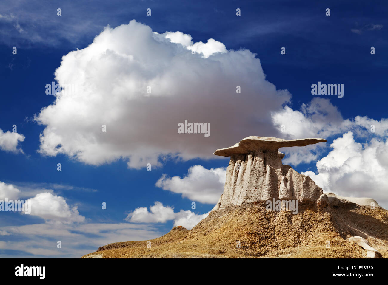 The Wings, bizarre rock formations in Bisti Badlands, New Mexico, USA Stock Photo