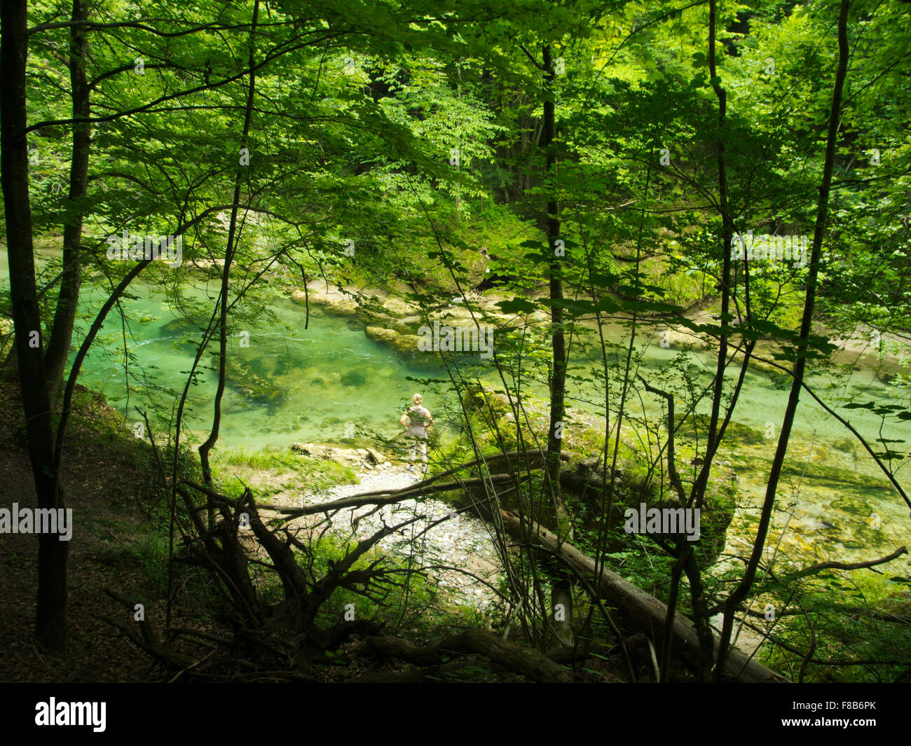 Osterreich Niederosterreich Bezirk Scheibbs Purgstall Stock Photo Alamy